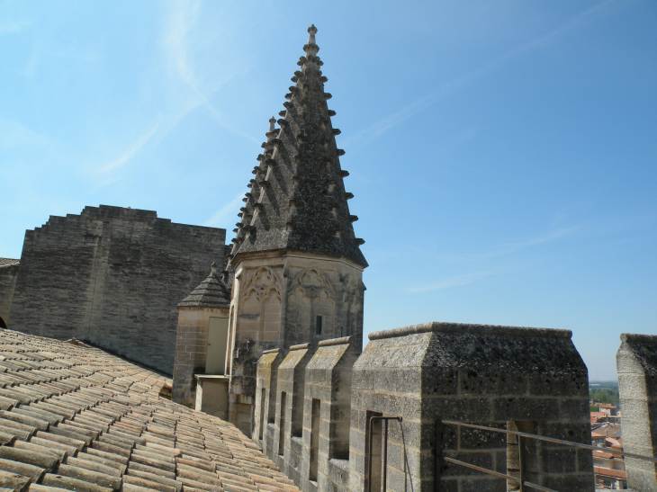  toit du Palais des papes
